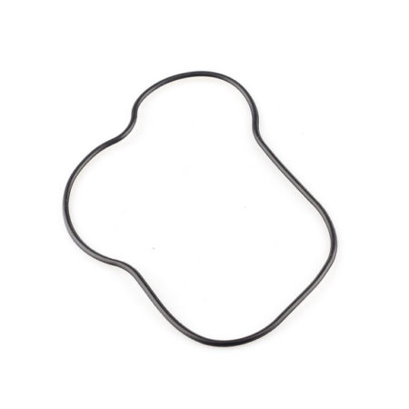 Hatz Diesel Valve Cover Gasket / O-Ring 50579501