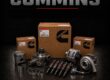 Cummins Onan Parts